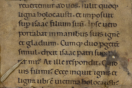 BIBLIA LATINA (Fragment)